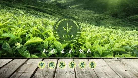 Il-Ftuħ tal-Ewwel Konferenza Internazzjonali dwar it-Te Aħdar shaoxing (Sheng...